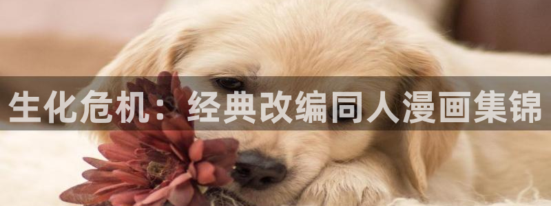 1禁漫天堂：生化危机：经典改编同人漫画集锦