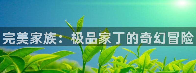 禁漫天堂永久入口：完美家族：极品家丁的奇幻冒险