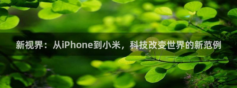 禁漫天堂用什么加速：新视界：从iPhone到小米，科技改变世界的新范例