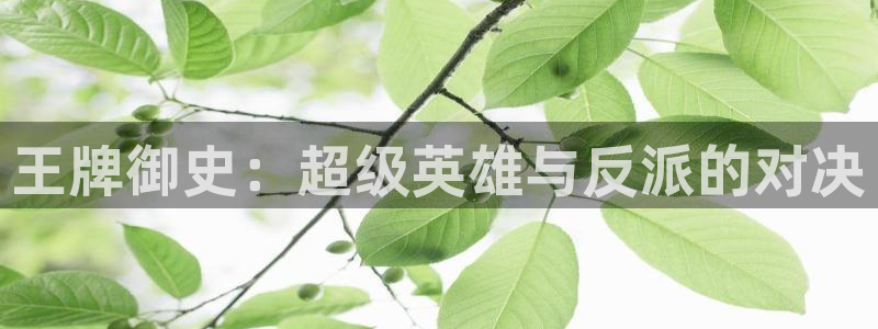 禁漫天堂空乘：王牌御史：超级英雄与反派的对决