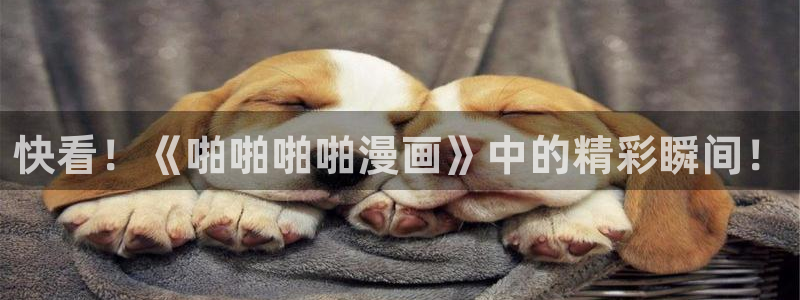 禁漫天堂黄动漫网站下载：快看！《啪啪啪啪漫画》中的精彩瞬间！