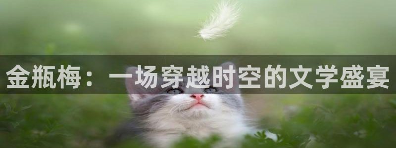 最新版禁漫天堂：金瓶梅：一场穿越时空的文学盛宴